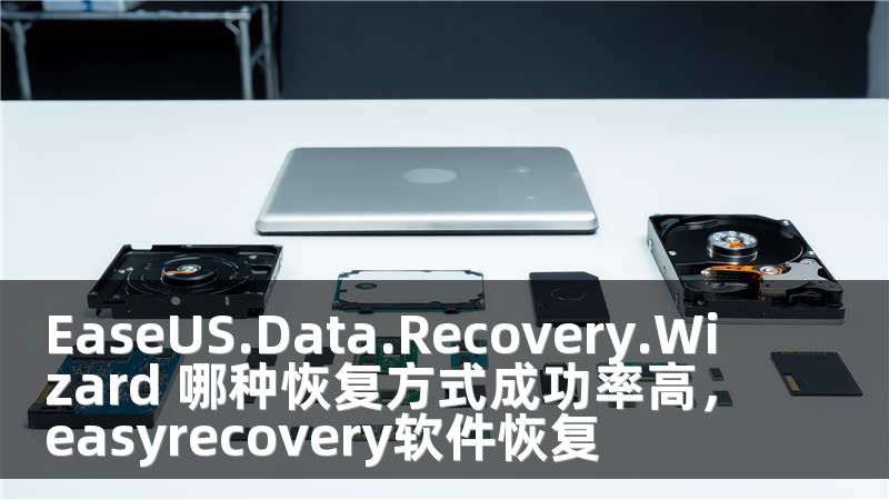 EaseUS.Data.Recovery.Wizard 哪种恢复方式成功率高，easyrecovery软件恢复