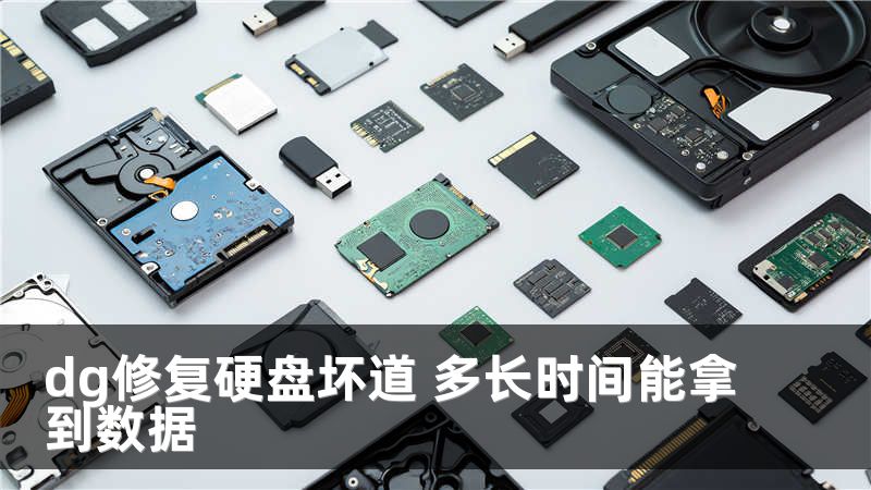dg修复硬盘坏道 多长时间能拿到数据