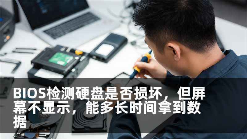 BIOS检测硬盘是否损坏，但屏幕不显示，能多长时间拿到数据