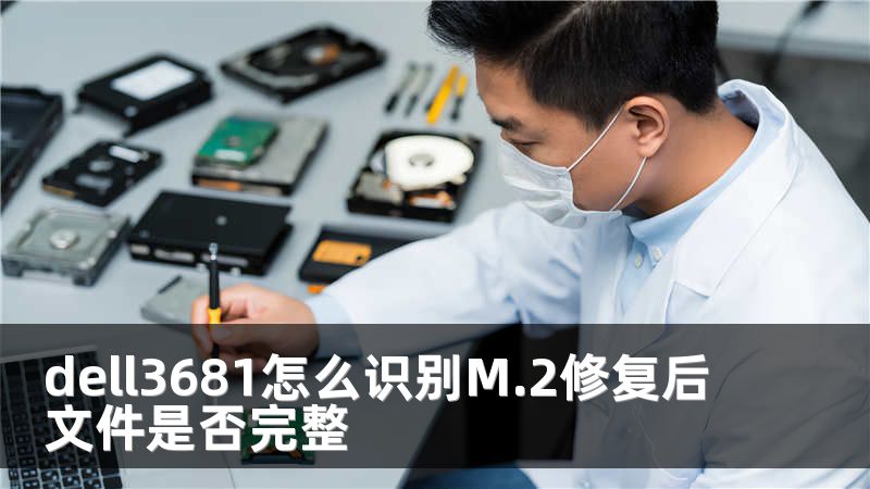 dell3681怎么识别M.2修复后文件是否完整