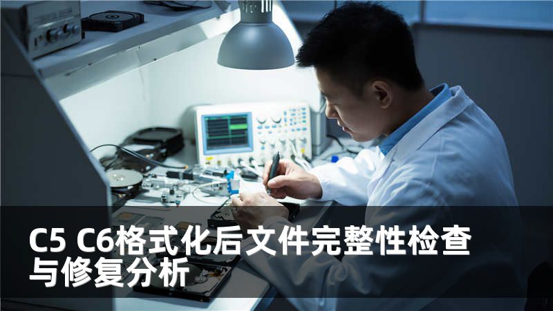 C5 C6格式化后文件完整性检查与修复分析