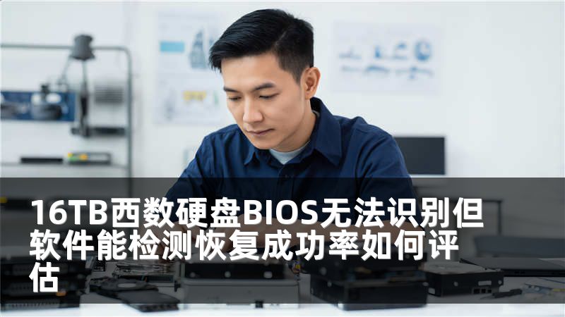 16TB西数硬盘BIOS无法识别但软件能检测恢复成功率如何评估