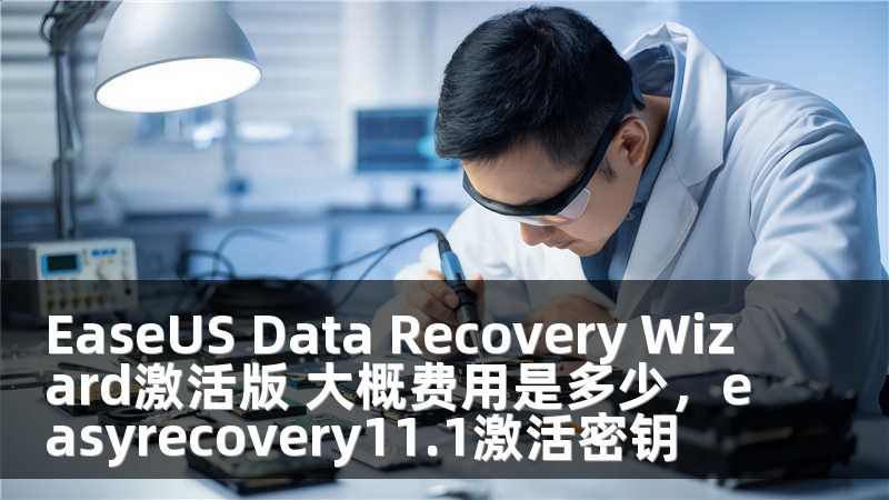 EaseUS Data Recovery Wizard激活版 大概费用是多少，easyrecovery11.1激活密钥