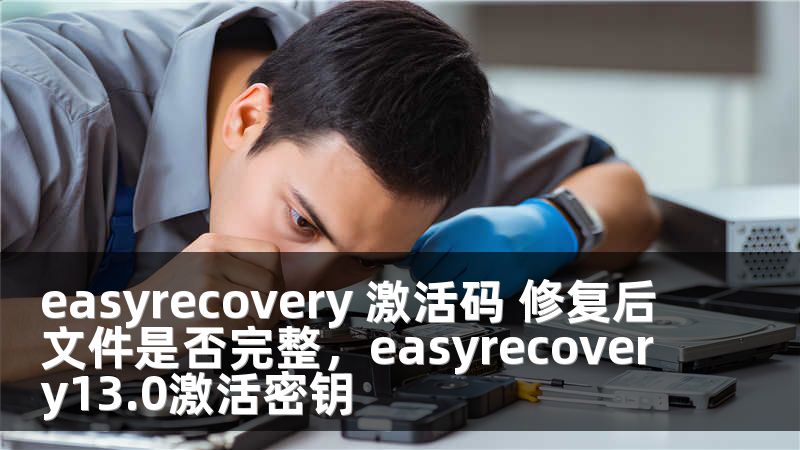 easyrecovery 激活码 修复后文件是否完整，easyrecovery13.0激活密钥