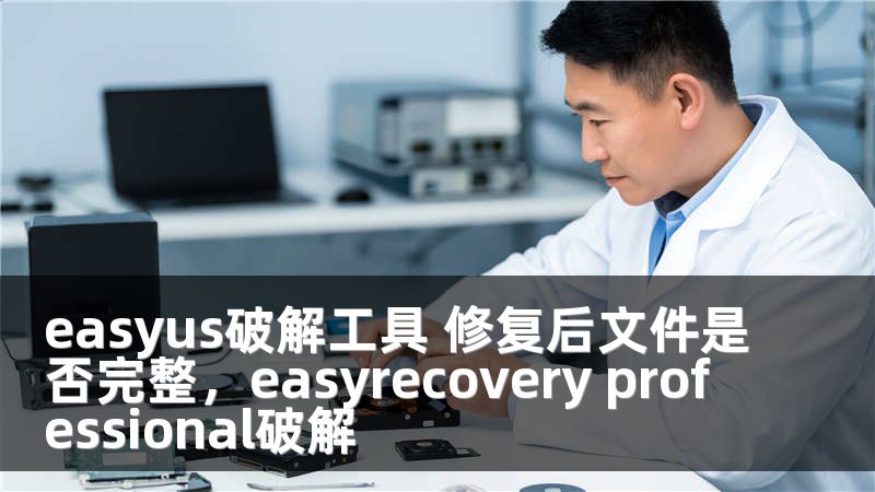 easyus破解工具 修复后文件是否完整，easyrecovery professional破解