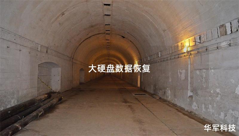 大硬盘数据恢复