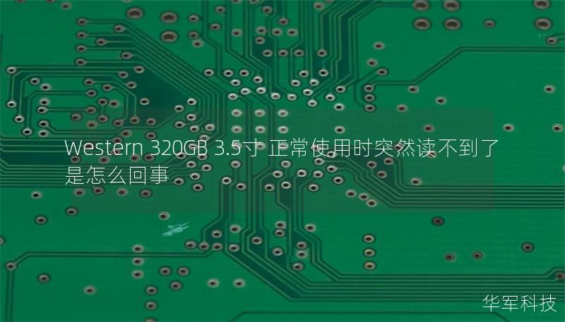 Western 320GB 3.5寸 正常使用时突然读不到了 是怎么回事
