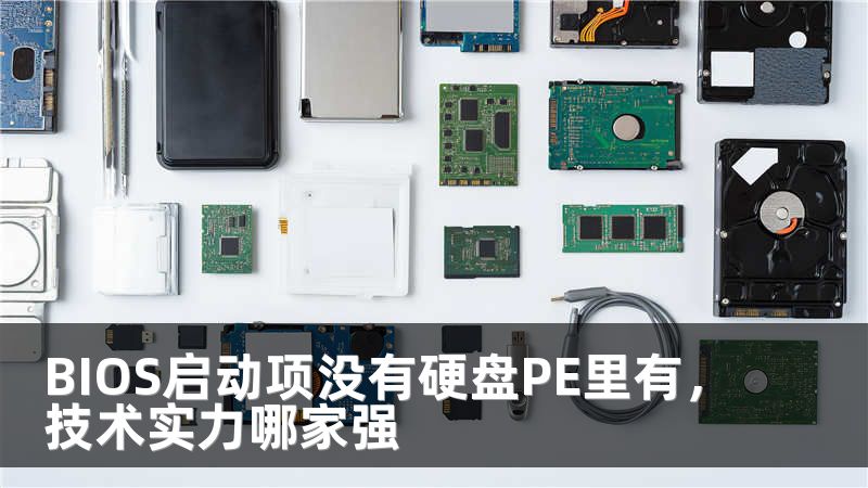 BIOS启动项没有硬盘PE里有，技术实力哪家强