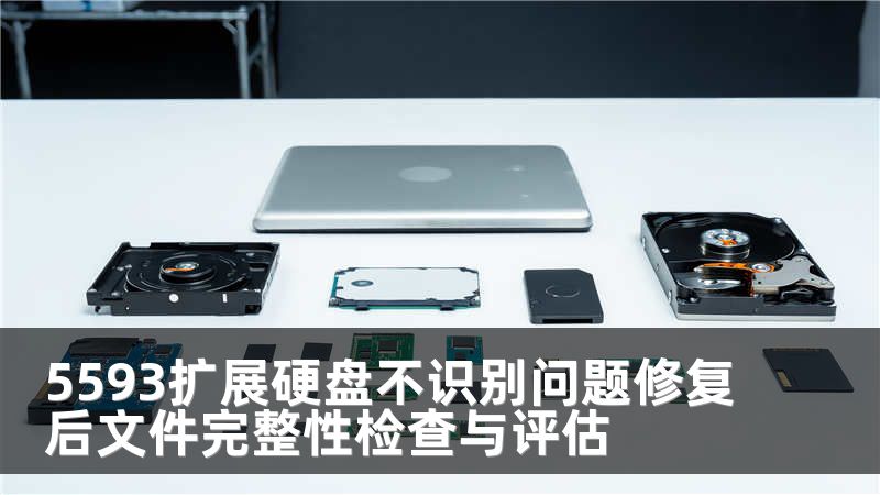 5593扩展硬盘不识别问题修复后文件完整性检查与评估
