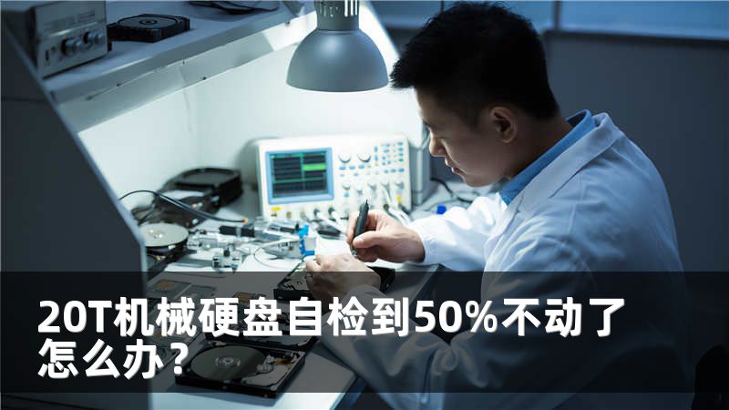 20T机械硬盘自检到50%不动了怎么办？