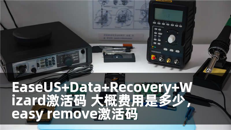 EaseUS+Data+Recovery+Wizard激活码 大概费用是多少，easy remove激活码