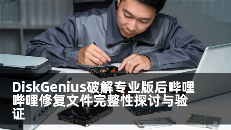 DiskGenius破解专业版后哔哩哔哩修复文件完整性探讨与验证