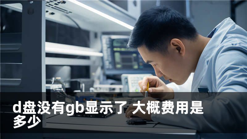 d盘没有gb显示了 大概费用是多少