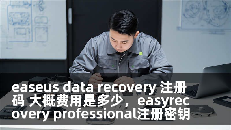 easeus data recovery 注册码 大概费用是多少，easyrecovery professional注册密钥