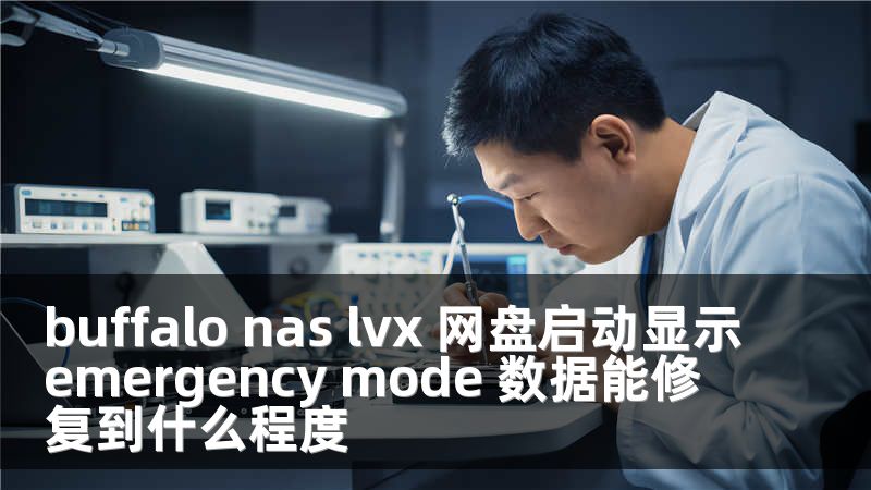 buffalo nas lvx 网盘启动显示emergency mode 数据能修复到什么程度