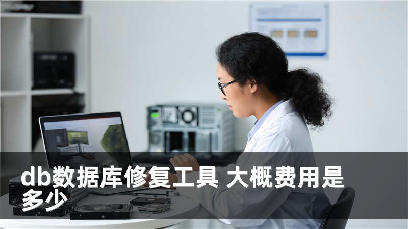 db数据库修复工具 大概费用是多少