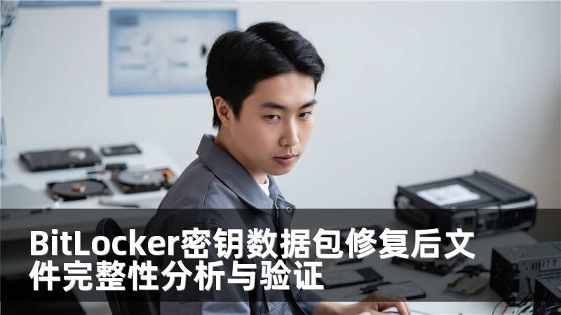 BitLocker密钥数据包修复后文件完整性分析与验证