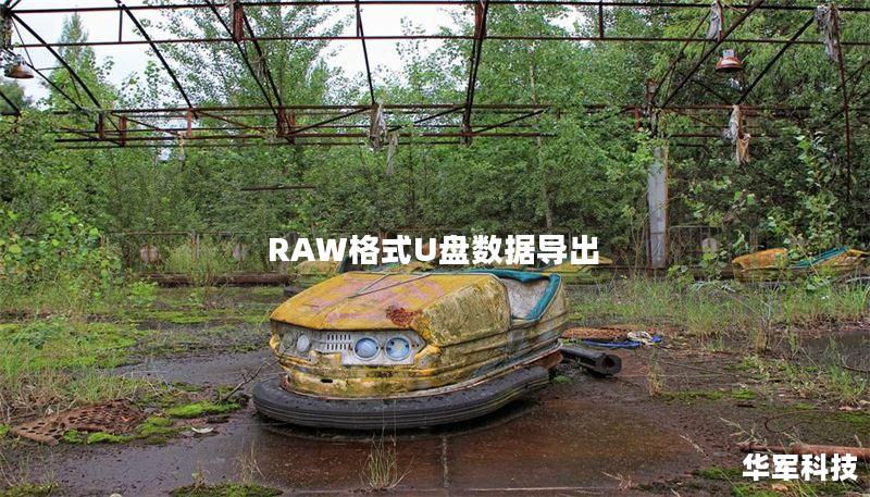 RAW格式U盘数据导出