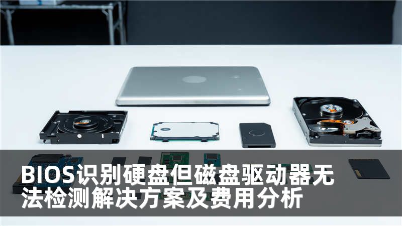 BIOS识别硬盘但磁盘驱动器无法检测解决方案及费用分析