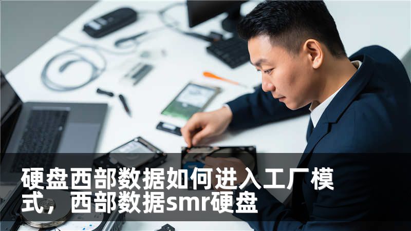 硬盘西部数据如何进入工厂模式，西部数据smr硬盘