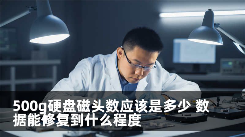500g硬盘磁头数应该是多少 数据能修复到什么程度