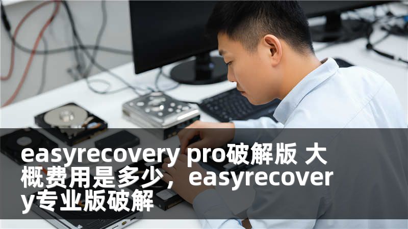 easyrecovery pro破解版 大概费用是多少，easyrecovery专业版破解