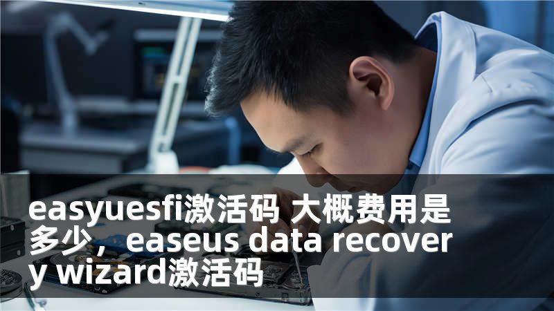 easyuesfi激活码 大概费用是多少，easeus data recovery wizard激活码