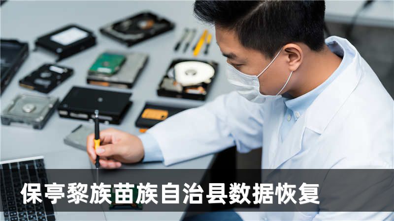 保亭黎族苗族自治县数据恢复