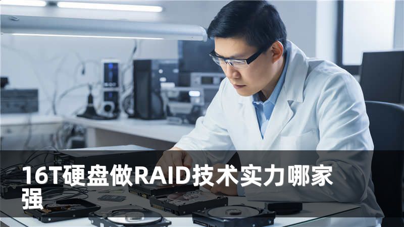 16T硬盘做RAID技术实力哪家强