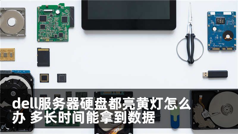 dell服务器硬盘都亮黄灯怎么办 多长时间能拿到数据