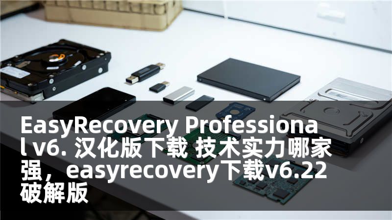 EasyRecovery Professional v6. 汉化版下载 技术实力哪家强，easyrecovery下载v6.22破解版