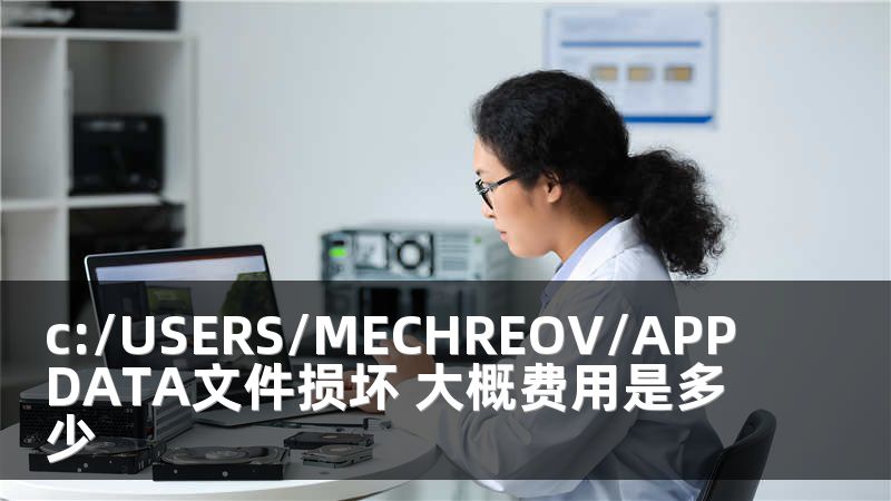c:/USERS/MECHREOV/APPDATA文件损坏 大概费用是多少