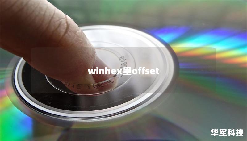 winhex里offset