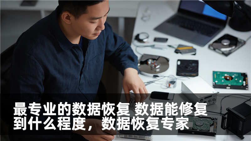 最专业的数据恢复 数据能修复到什么程度，数据恢复专家