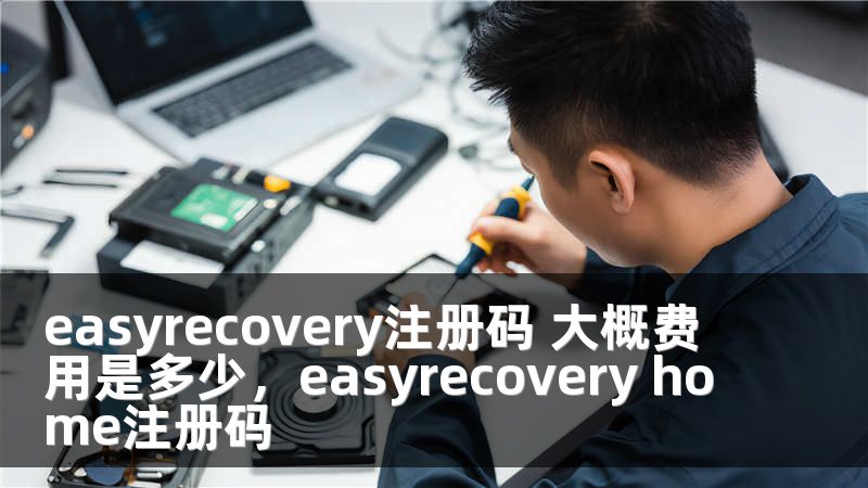 easyrecovery注册码 大概费用是多少，easyrecovery home注册码