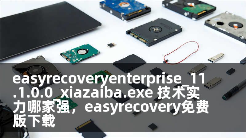 easyrecoveryenterprise_11.1.0.0_xiazaiba.exe 技术实力哪家强，easyrecovery免费版下载