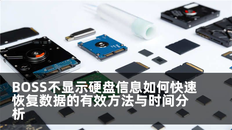 BOSS不显示硬盘信息如何快速恢复数据的有效方法与时间分析