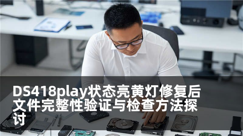 DS418play状态亮黄灯修复后文件完整性验证与检查方法探讨