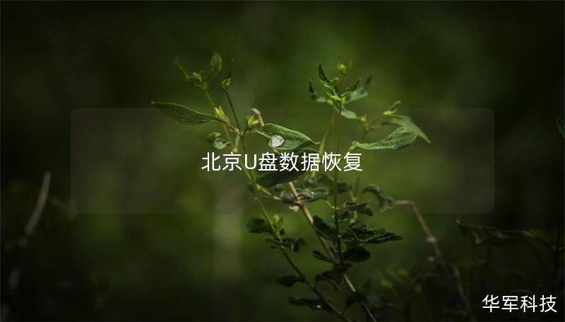 北京U盘数据恢复