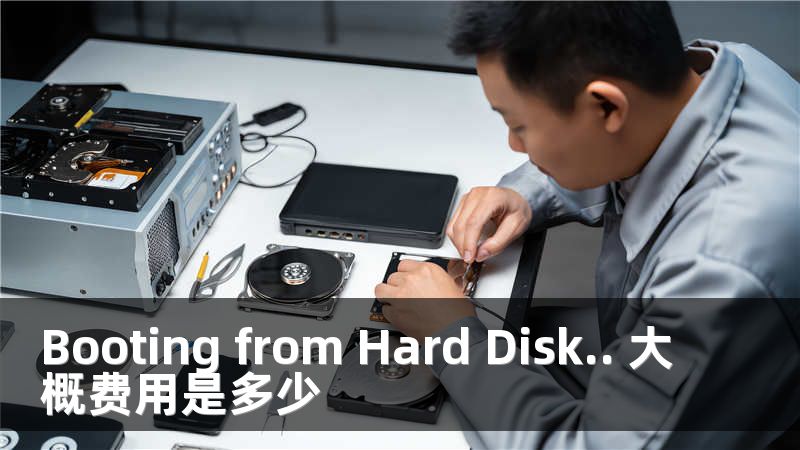 Booting from Hard Disk.. 大概费用是多少