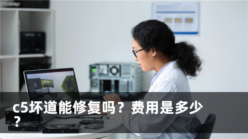 c5坏道能修复吗？费用是多少？