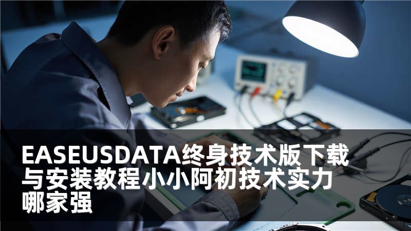 EASEUSDATA终身技术版下载与安装教程小小阿初技术实力哪家强