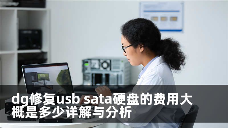 dg修复usb sata硬盘的费用大概是多少详解与分析