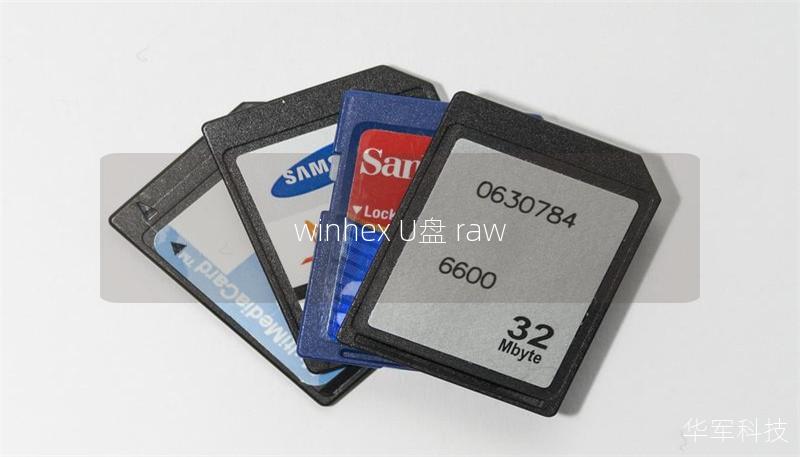 winhex U盘 raw