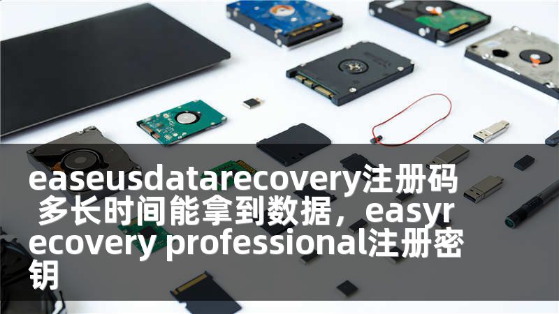 easeusdatarecovery注册码 多长时间能拿到数据，easyrecovery professional注册密钥