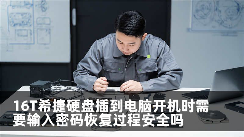 16T希捷硬盘插到电脑开机时需要输入密码恢复过程安全吗