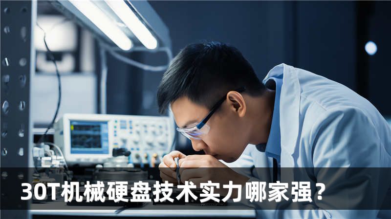 30T机械硬盘技术实力哪家强？