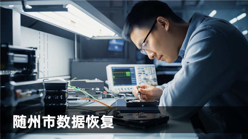 随州市数据恢复
