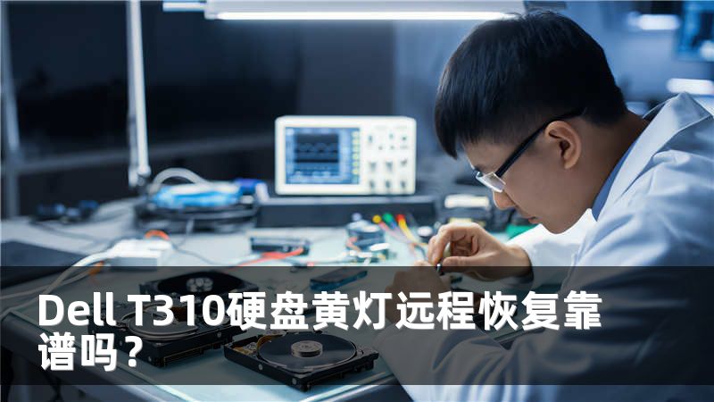Dell T310硬盘黄灯远程恢复靠谱吗？