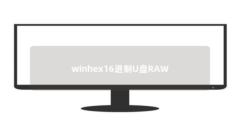 winhex16进制U盘RAW